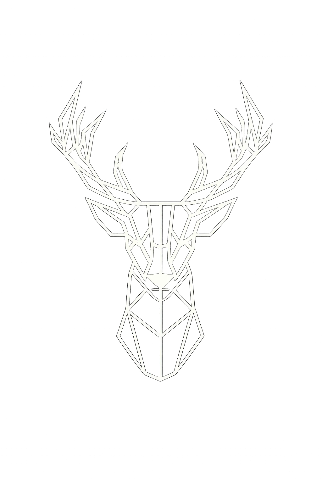 FantouSolutions logo